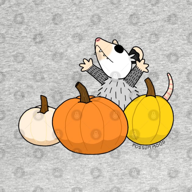 PUMPKINS by Possum Mood